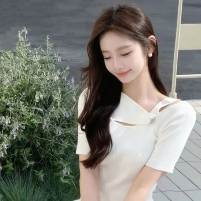 智叻狗仔队